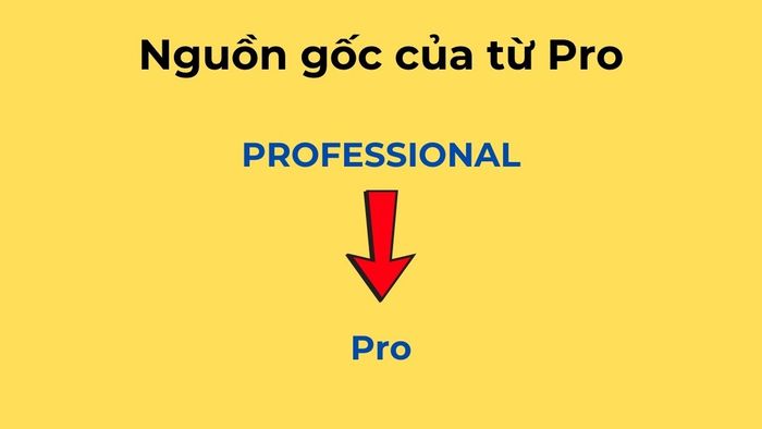 Xuất xứ của từ Pro